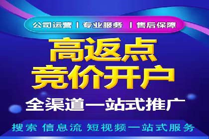 搜索引擎推广的佼佼者——百度搜索推广案例